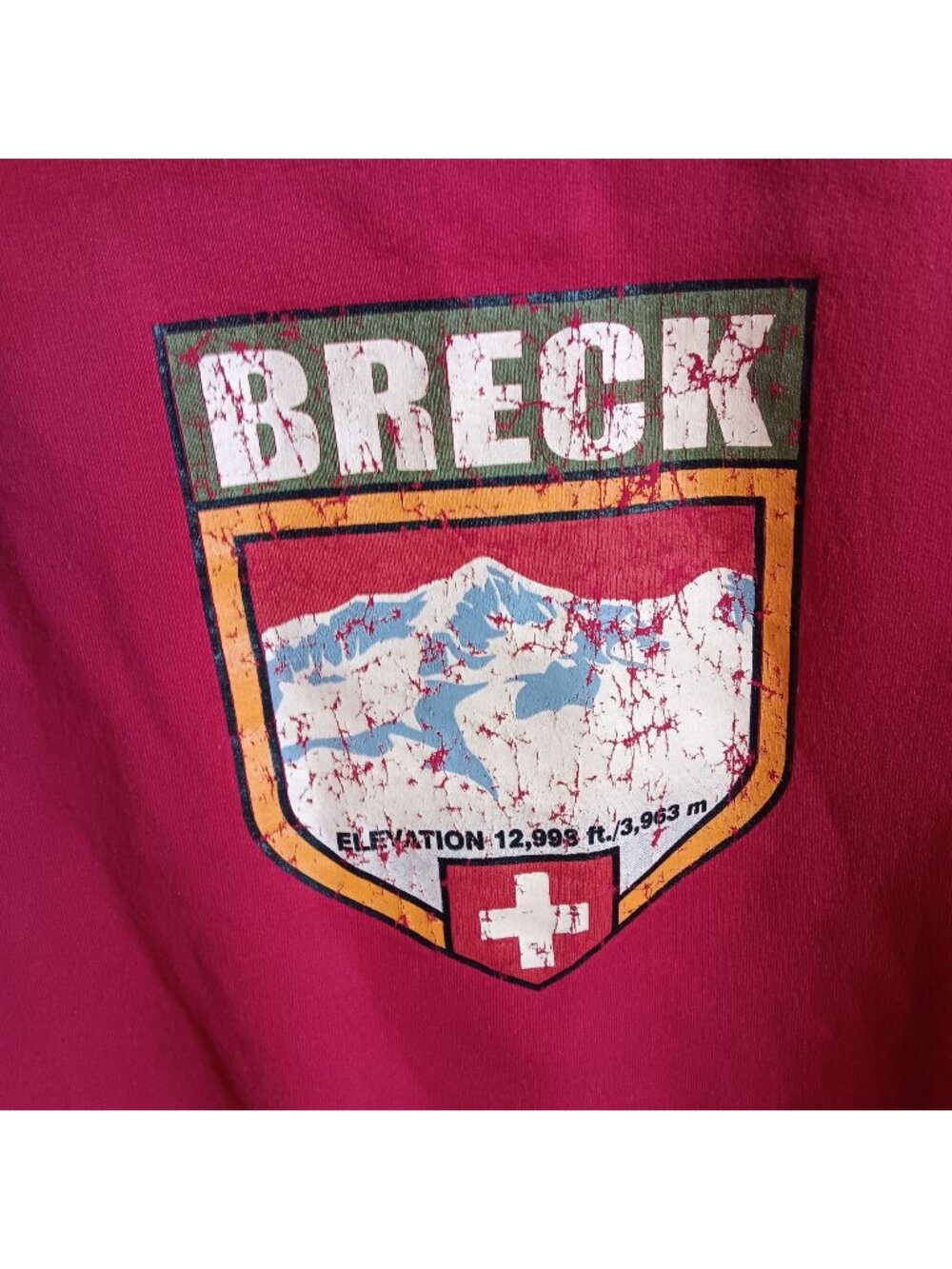 Champion Breckenridge Colorado Hoodie Sweatshirt Large Pullover Kangaroo Pocket